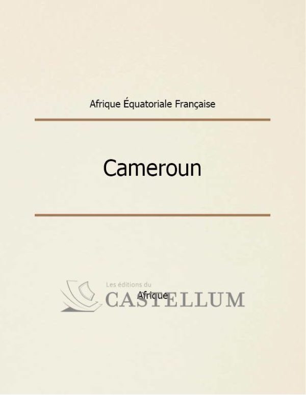 French Equatorial Africa - Image 4